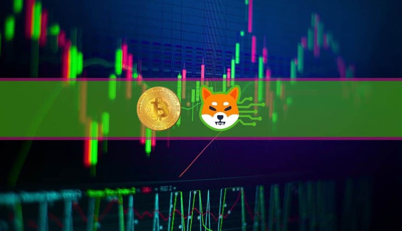 shiba-inu-shib-pumps-another-5-while-bitcoin-stagnates-at-29k-market-watch