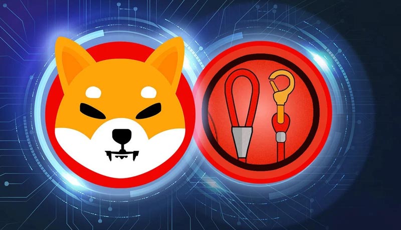 shiba-inus-leash-explodes-following-listing-on-major-exchange