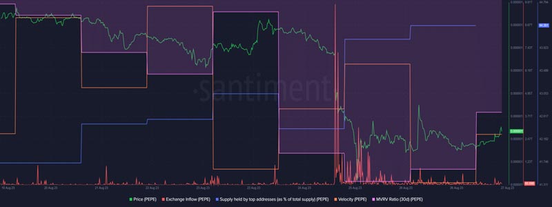 should-investors-expect-a-comeback-from-pepe