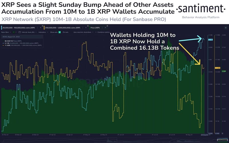 xrp-leads-the-pack-in-altcoin-space-recovery-whales-buy-the-dips