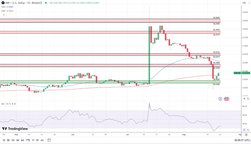 xrp-leads-the-pack-in-altcoin-space-recovery-whales-buy-the-dips