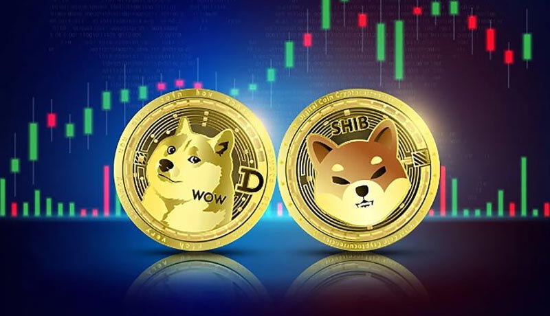 holding-doge-is-a-better-idea-than-shib-heres-why-
