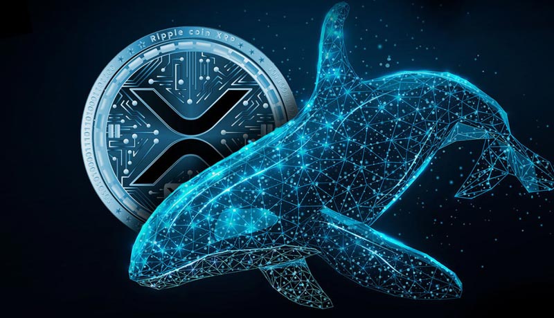 ripple-sells-millions-of-xrp-after-receiving-100-million-xrp-from-mysterious-whale