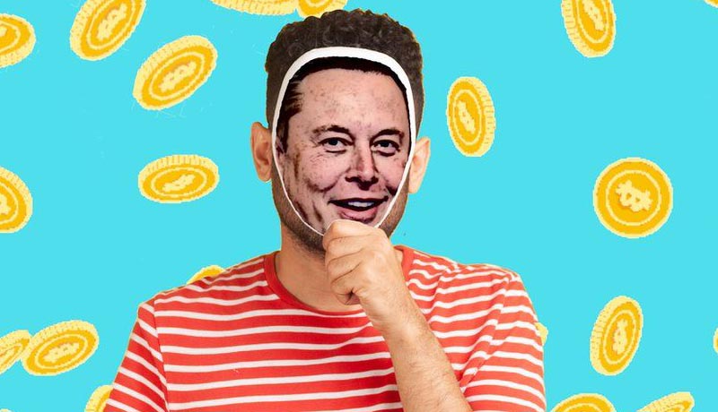 tiktok-battling-influx-of-elon-musk-crypto-scams