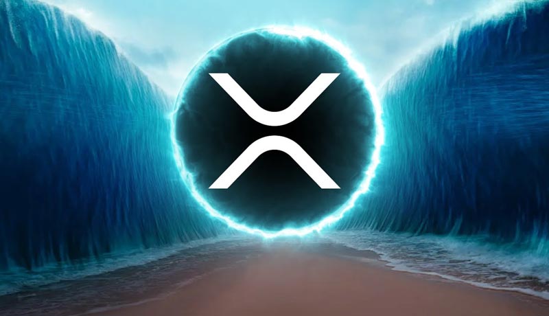 top-crypto-author-reveals-reasons-xrp-army