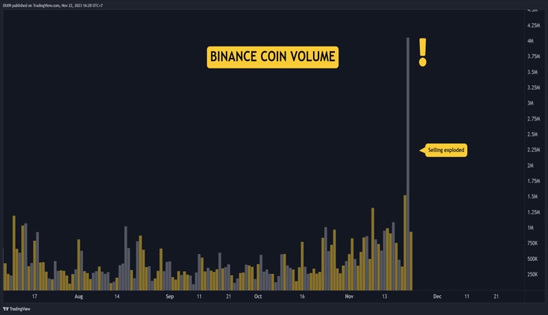 bnb-crashes-following-doj-settlement