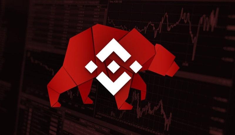 binances-bnb-token-misses-out-the-180-billion-crypto-rally-will-xrp-takeover