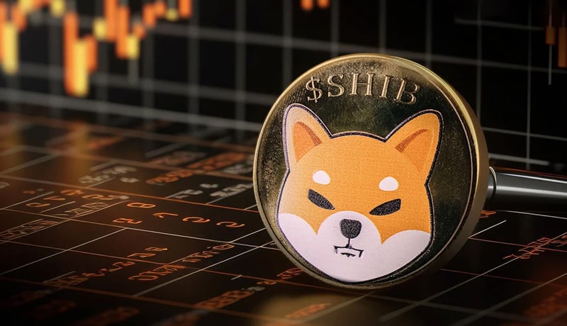 investors-alert-shibs-falling-exchange-supply-may-fuel-price-surg