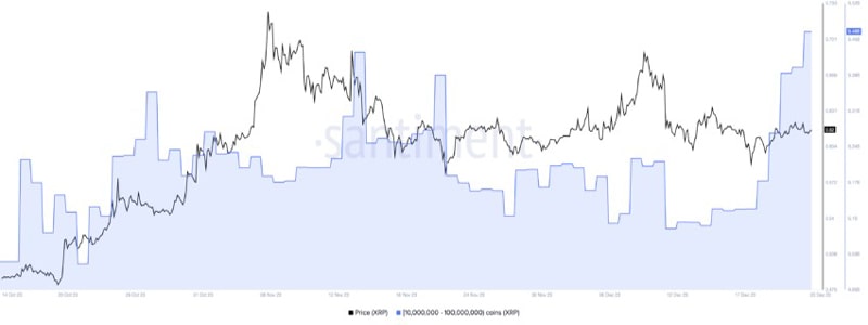 ripple-whales-buy-xrp