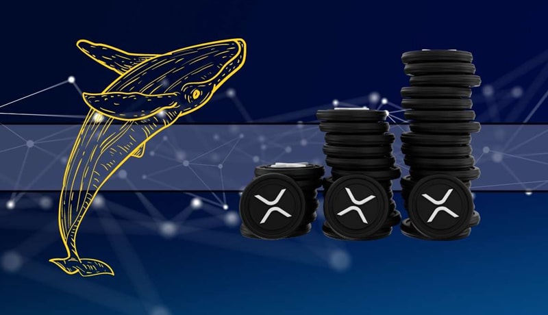 ripple-whales-buy-xrp