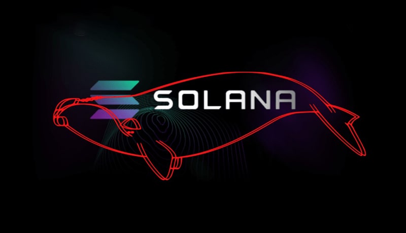 solana-rockets-up-14-watch-out-for-whale-selling
