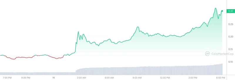 تداوم رالی صعودی WIF؛ سگ کلاهدار سولانا در صرافی بای‌بیت لیست شد!