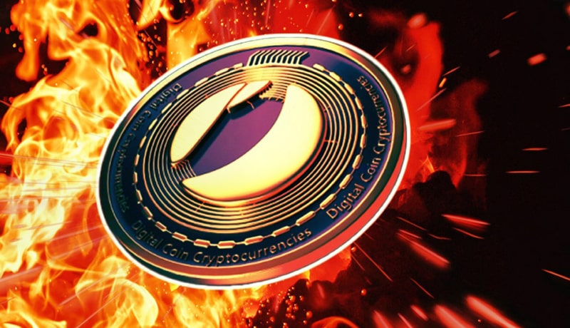 lunc-burns-100-mln-tokens-price-rises-6-in-24-hours