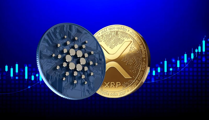 ripple-xrp-vs-cardano-ada-which-one-will-reach-1-first
