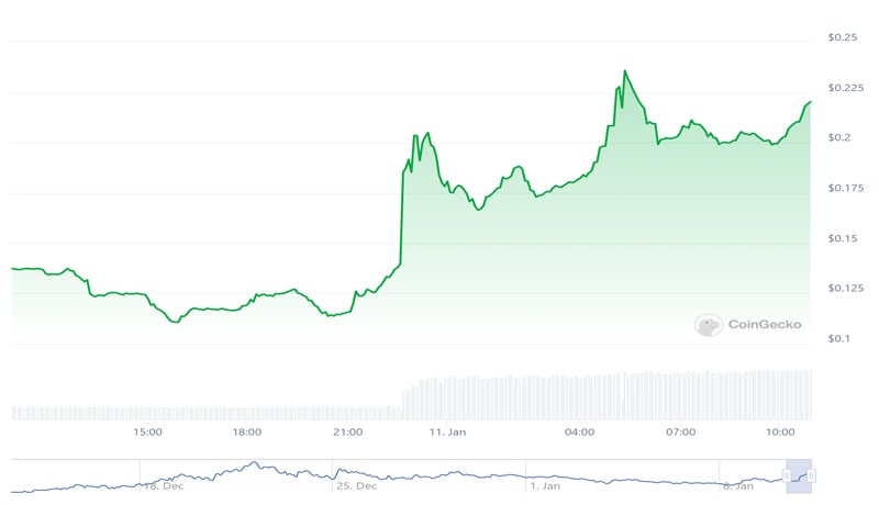 solana-meme-coin-dogwifhat-jumps-100-as-binance-speculation-heats-u