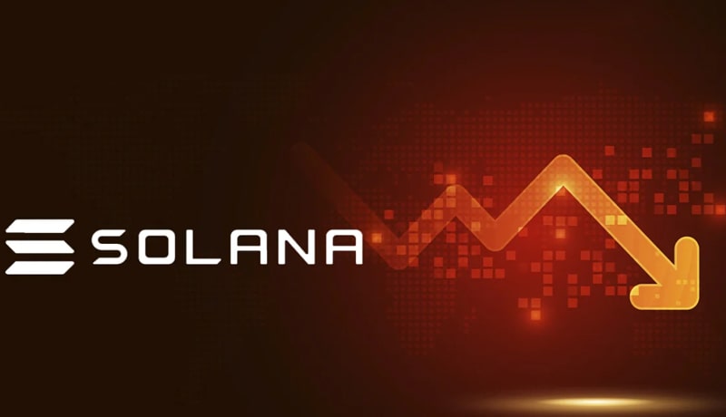 solana-network-thrives-sol-price-cools-down