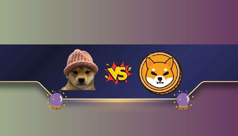 we-asked-chatgpt-if-solana-meme-coin-dogwifhat-wif-can-flip-shiba-inu-shib-in-2024