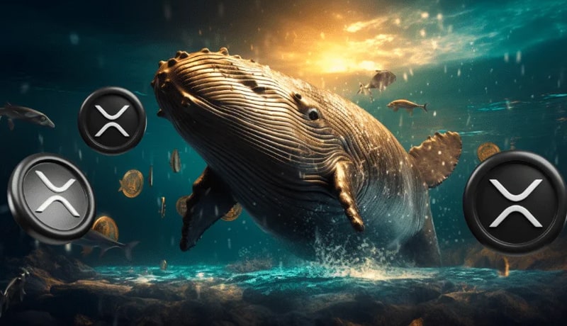 xrp-price-dips-amid-whales-47-5-mln-xrp-selloff-saga-whats-happening