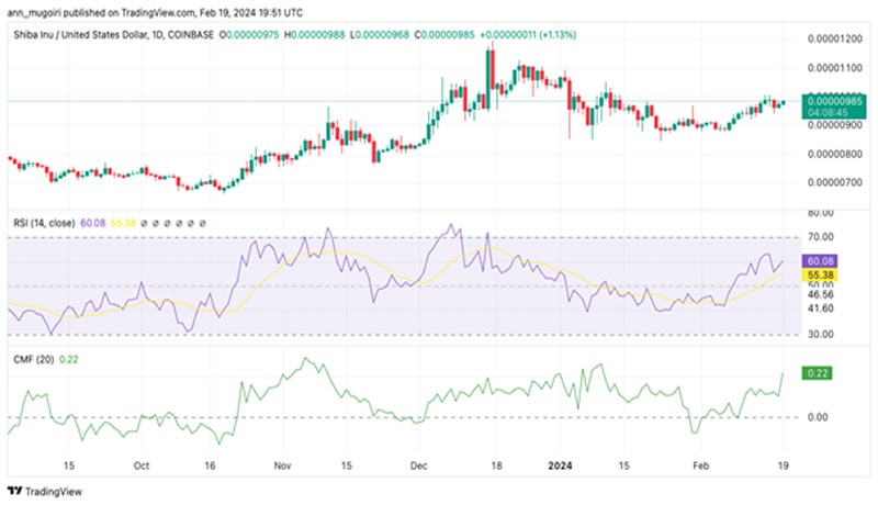 will-shib-hit-0-0001-before-march
