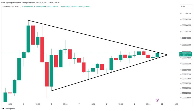 billion-shiba-inu-burned-price-impact