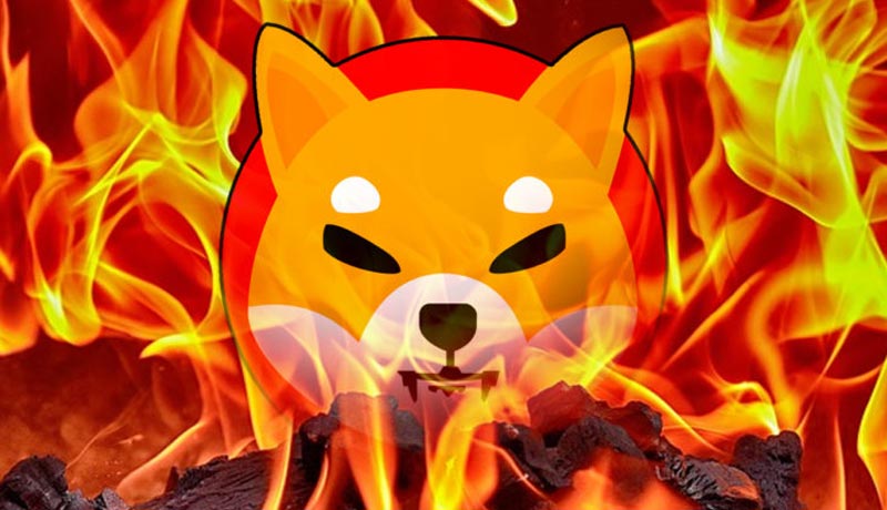 billion-shiba-inu-burned-price-impact