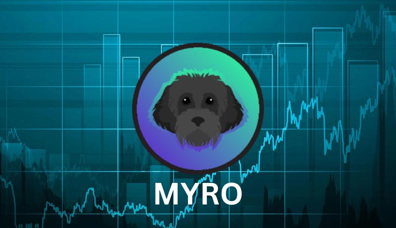 binance-list-pepe-coin-and-myro-perpetuals-with-50x-leverage