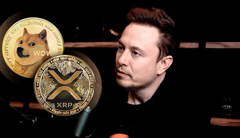 elon-musk-triggers-reaction-from-xrp-and-dogecoin-community-with-intriguing-tweet