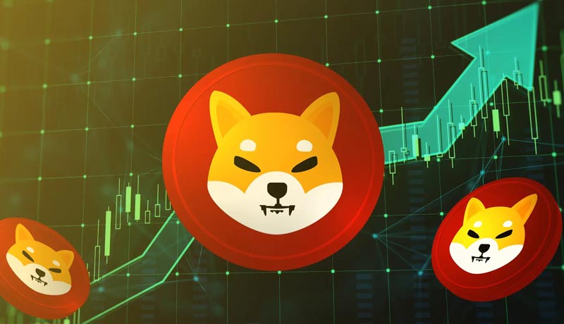 shiba-inu-shib-price-explodes-130-in-a-week-heres-how-many-holders-are-currently-in-profi