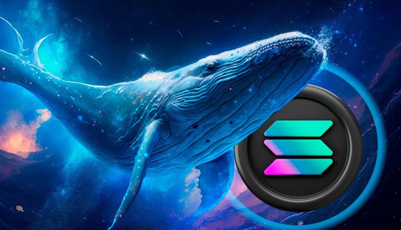 solanas-200-milestone-meets-40-million-whale-exodus