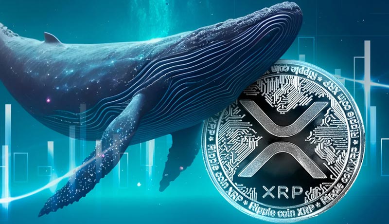 xrp-whales-accumulate-39-mln-xrp-from-binance-price-recovery-ahead