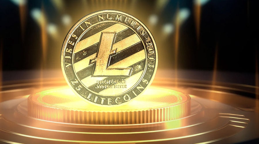 litecoin-belief-62-5-of-all-ltc-investors-hodlers-