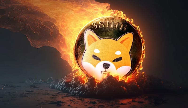 shiba-inu-coin-shib-burn-shoots-4000-signals-price-recovery-ahead