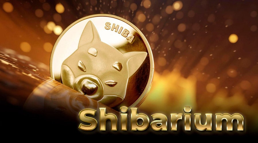 shibarium-faces-temporary-outage-details