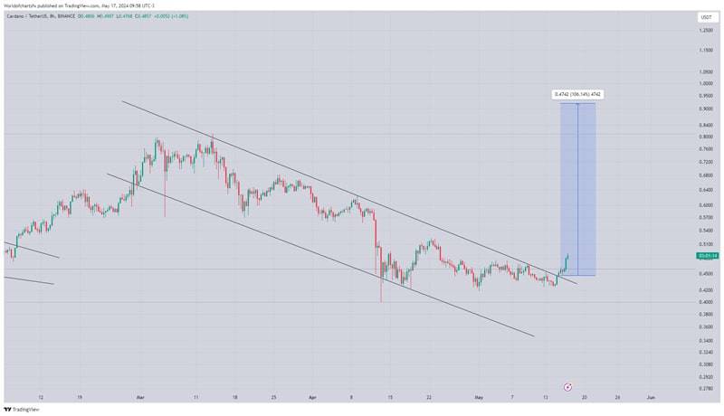 Activity-Whale-Cardano-10x-Will-Ada-Break-the-Barier-1