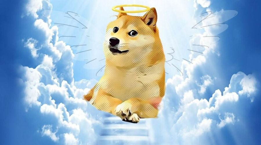 kapuso-face-of-crypto-dogecoin-dies-at-18-c-elon-musk-tribute