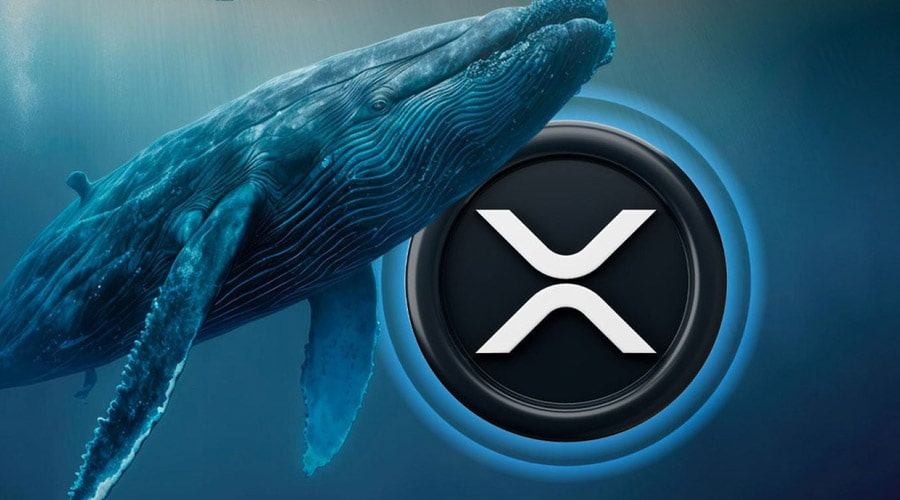 ripple-whales-scoop-up-110m-xrp-amidst-ongoing-sec-vs-xrp-lawsuit