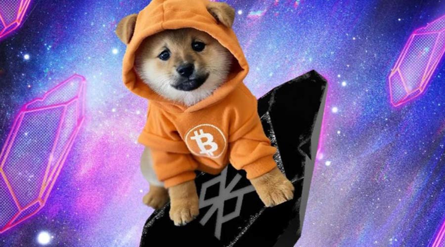 معرفی 3 آلتکوین بالقوه برای رالی بعدی؛  بیت کوین MemeCoin Dog را از دست ندهید!