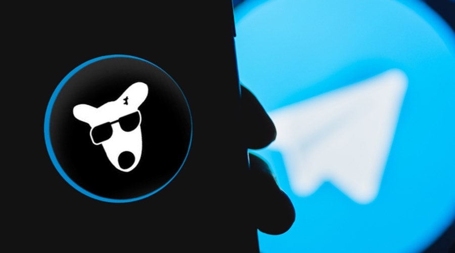 dogs-eyes-13-rally-as-adoption-rises-key-levels-to-watch