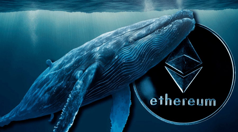 Ethereum-whales-increasing-control-supply-of-43-eth