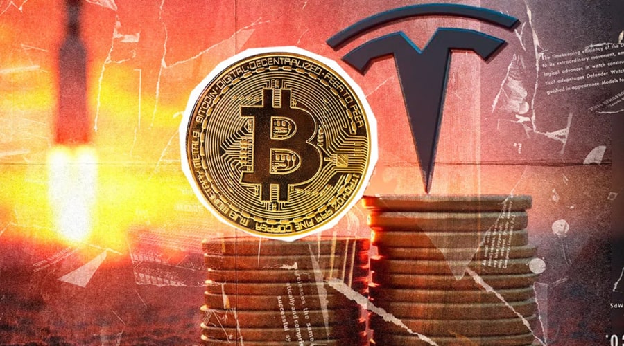 heres-how-much-bitcoin-btc-elon-musks-tesla-and-spacex-currently-hodl