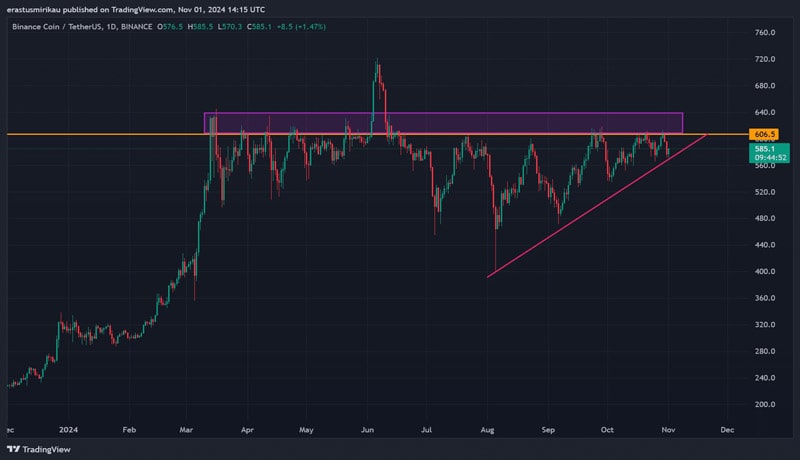 bnbs-29th-burn-examining-the-odds-of-altcoin-rallying-to-a-new-high-now