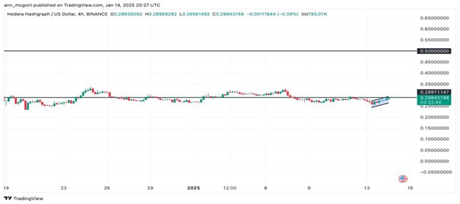 tokens-rally-trumps-cabinet-selection