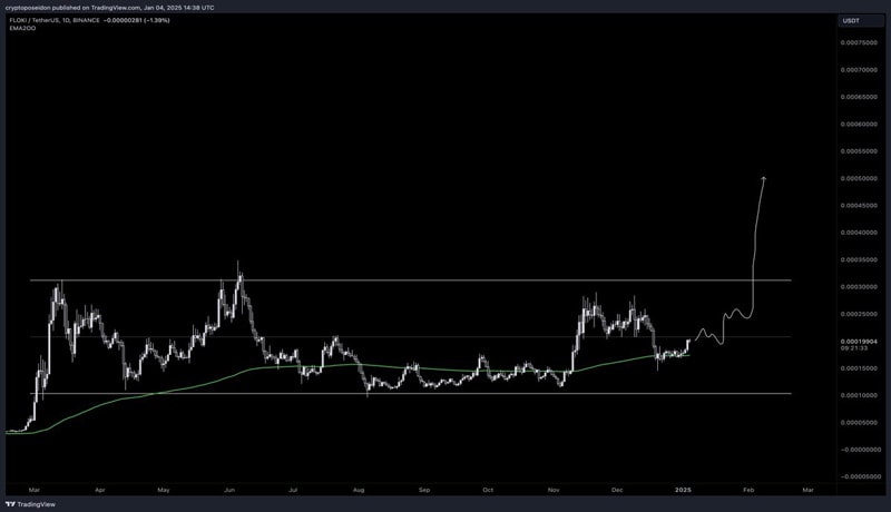 analyst-reveals-two-levels-to-watch-before-floki-price-hits-ath