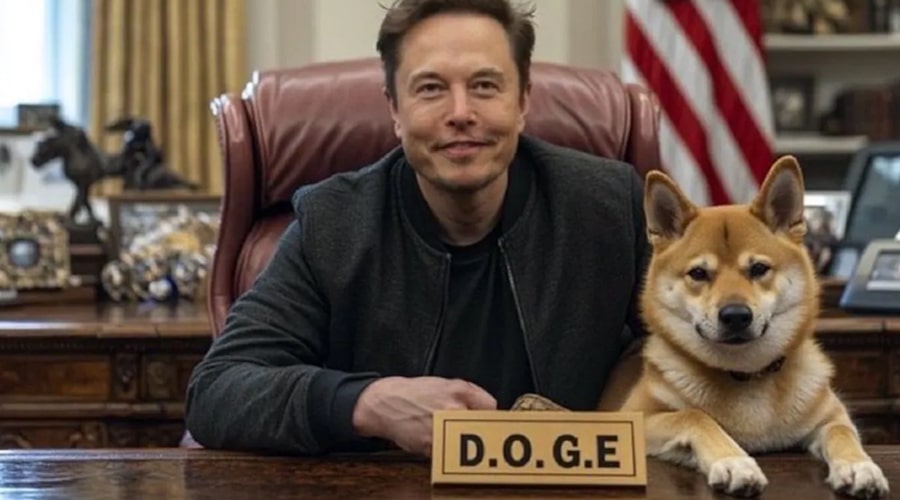 dogecoin-rally-musk-doge-agency-launch-