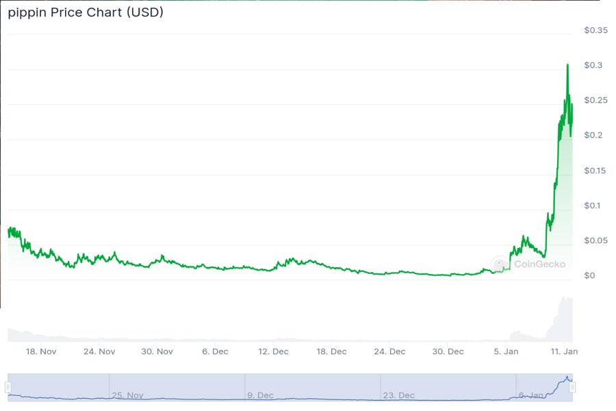 fartcoin-vs-pippin-where-to-invest