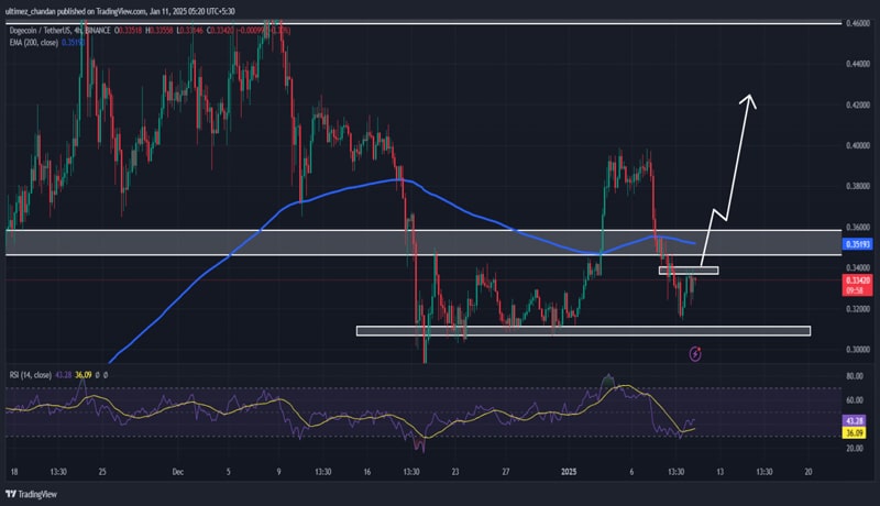 time-to-buy-doge-whales-buy-470-million-dogecoin