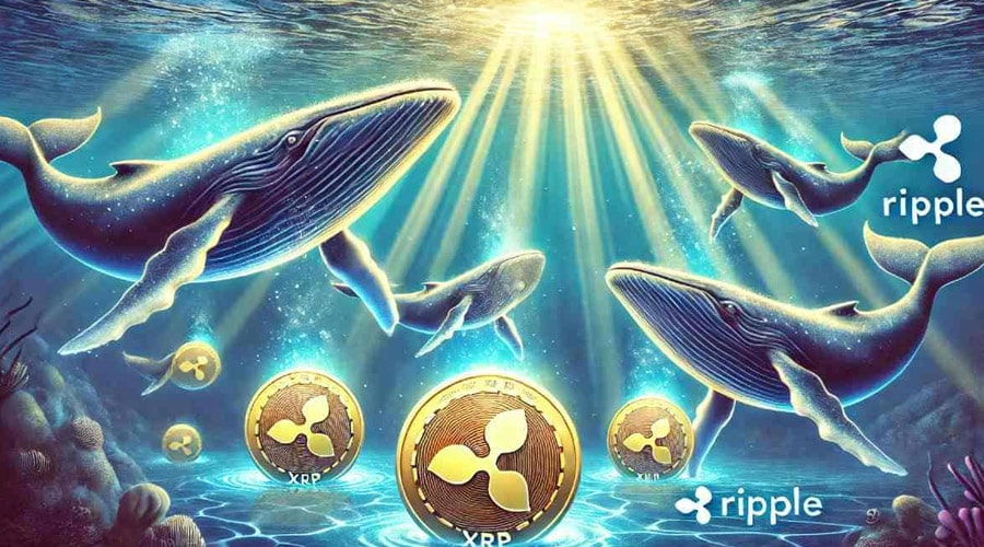 xrp-news-ripple-whales-bag-1b-coins-sparking-optimism-whats-next