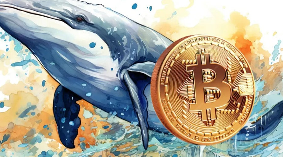 bitcoin-whales-profits-plummet-is-the-bull-run-losing-steam