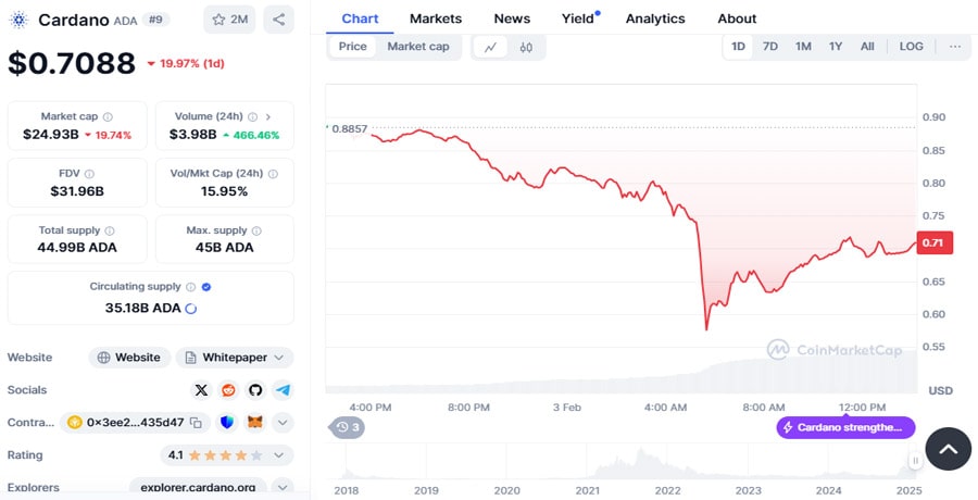 cardano-ada-volume-skyrockets-428-despite-worst-crypto-bloodbat