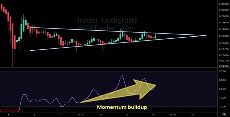 dogecoin-how-stagnant-doge-whale-activity-impacts-its-prices